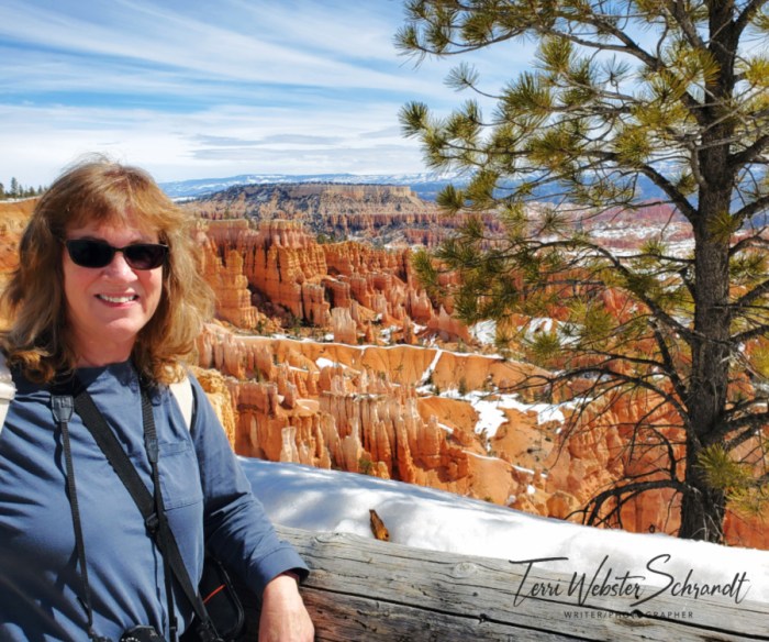 Bryce Canyon view
