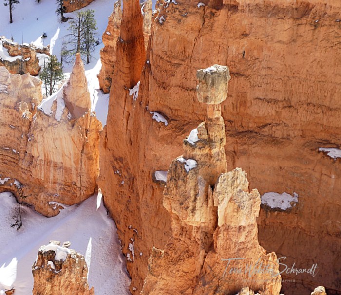 Bryce Canyon Hoodoos