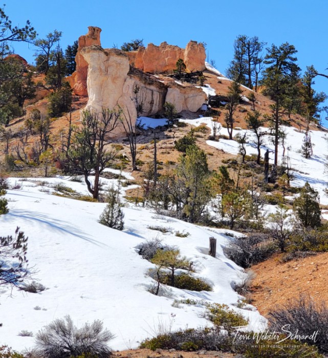Hoodoo formations just outside the NP, Hwy 12
