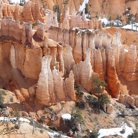 Bryce Canyon Hoodoos