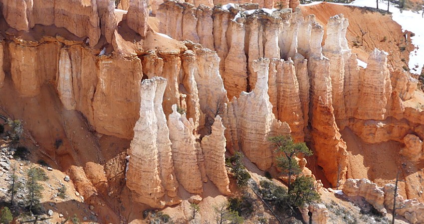 Bryce Canyon Hoodoos