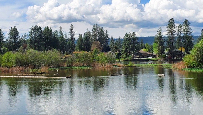 Reflections along Lake Spokane