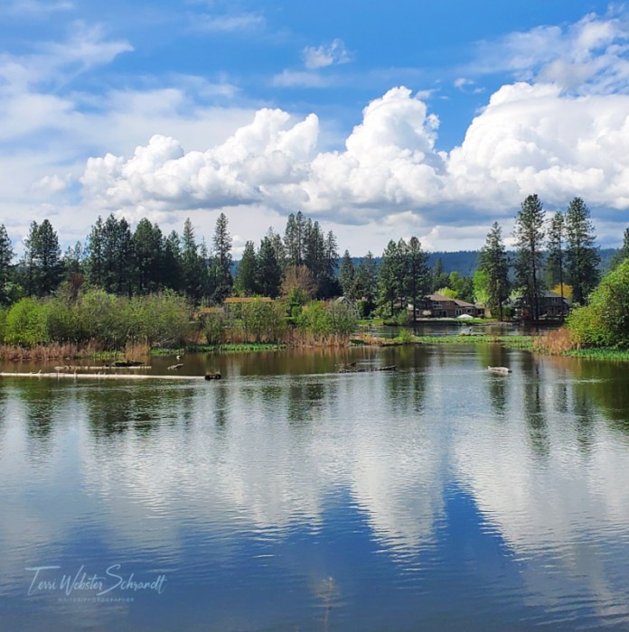 Reflections along Lake Spokane