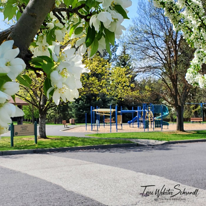 Pacific Park Spokane, WA