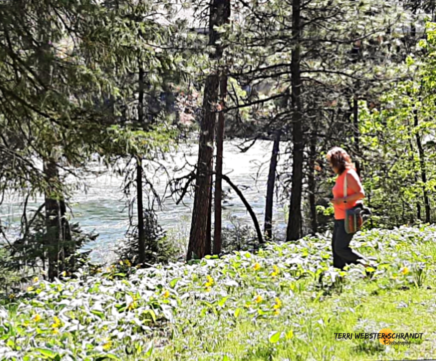 Sunday Stills: Great #Outdoors Month is&nbsp;Now