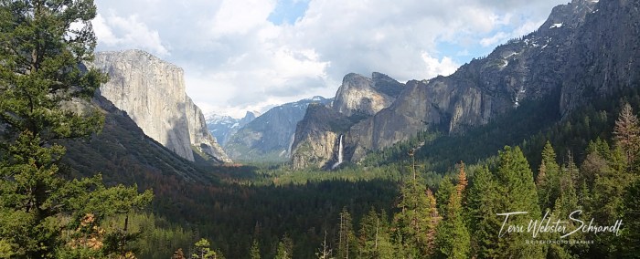 Panorama View Yosemite Valley