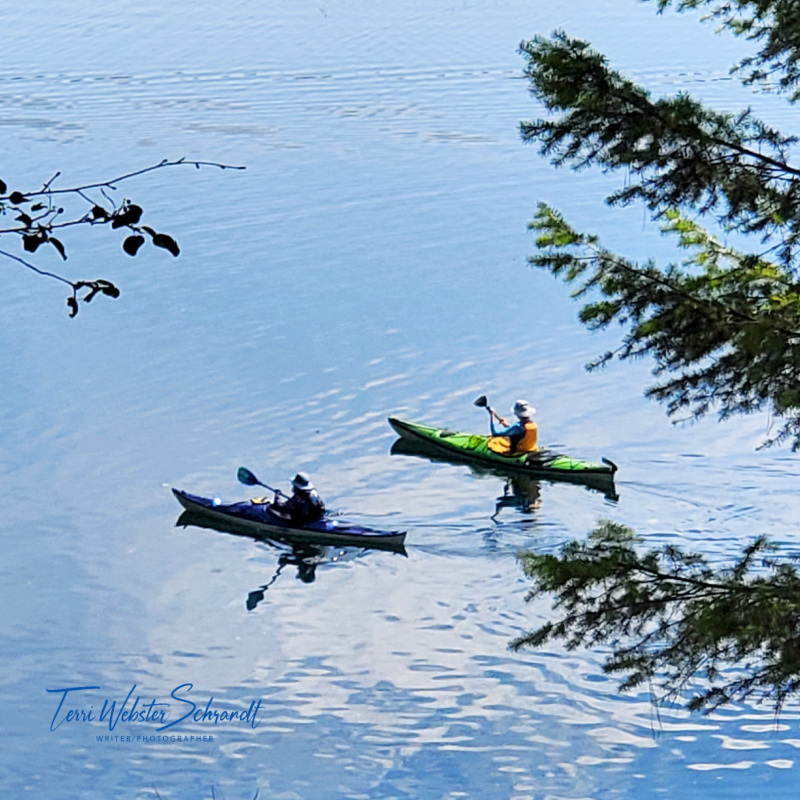Sunday Stills: #Lazy, Hazy Daze of&nbsp;Summer
