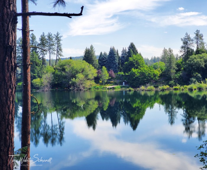 Quiet River Reflections