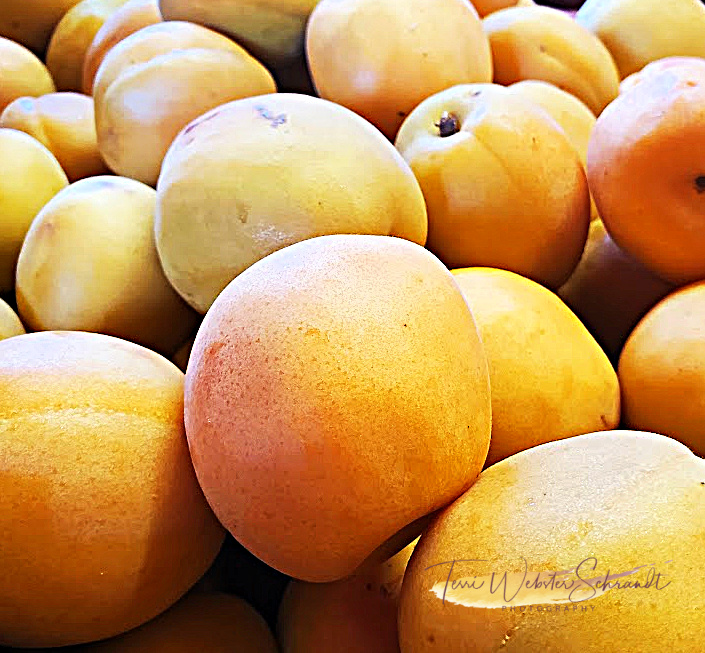 #WordlessWednesday: Gold in&nbsp;Monochrome