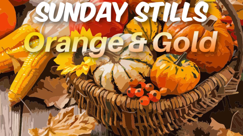 Sunday Stills Banner