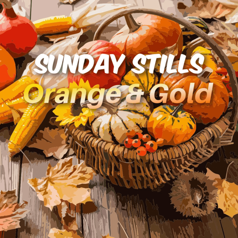 Sunday Stills Monthly Color Challenge: Incandescent #Orange and Glowing&nbsp;#Gold