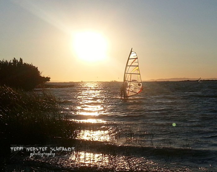 Windsurfer and orb at sunset