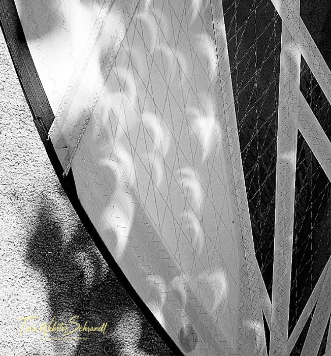 crescent shadows from solar eclipse