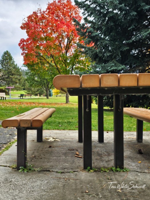 black park picnic table