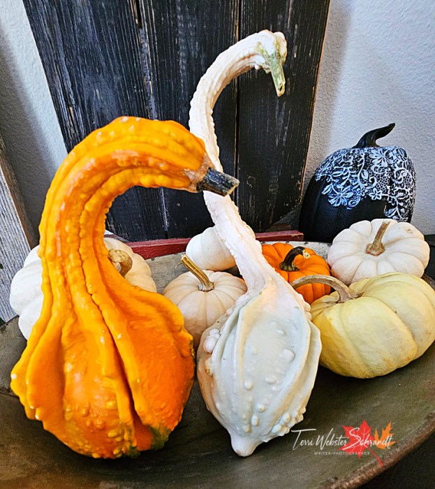 bird-shaped gourds and pumpkins