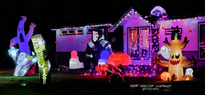 Halloween Yard Decor