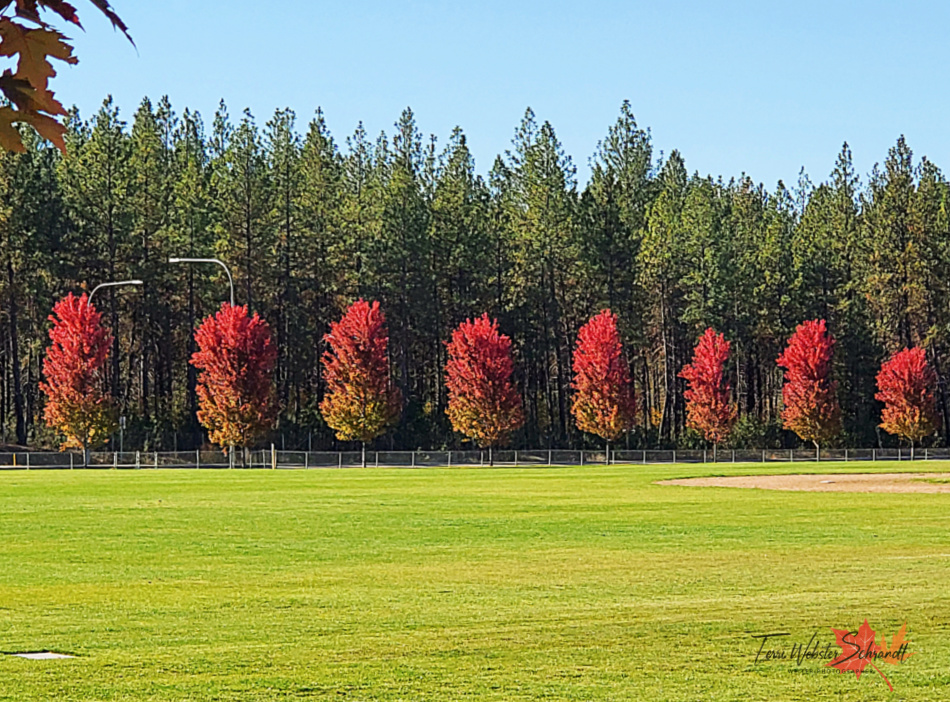#WordlessWednesday: October’s Last Views of&nbsp;Autumn