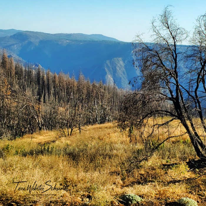 View of Georgetown Divide after 2022 Wildfires
