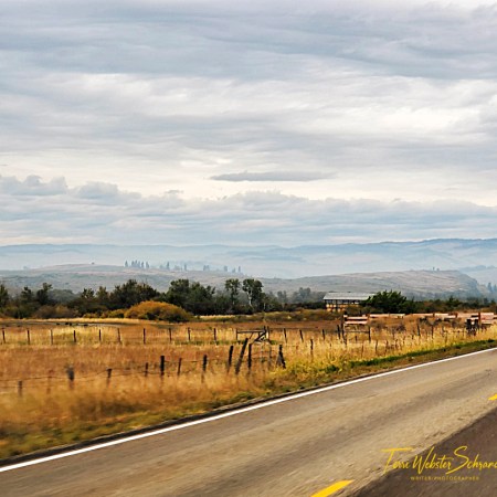 Landscape textures of Western Idaho
