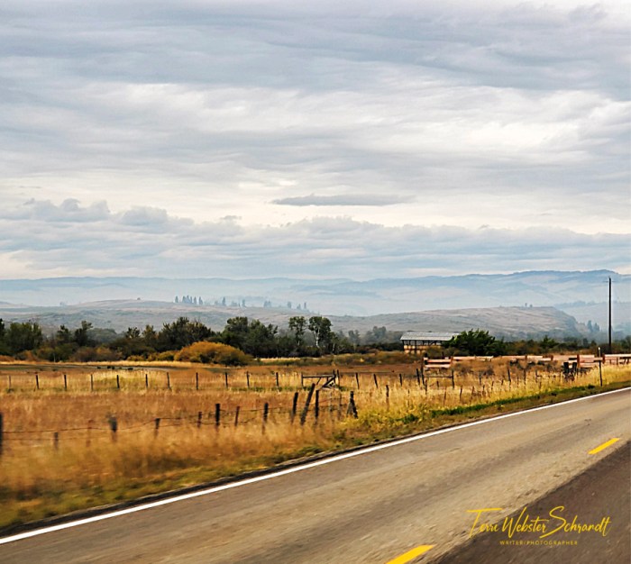 Landscape textures of Western Idaho