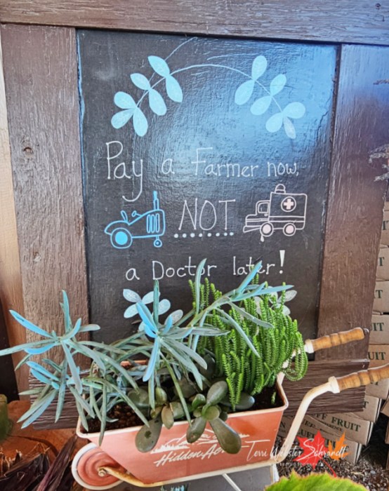rustic sign and plant