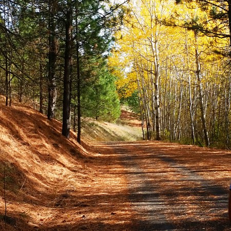 Turkey Hill Trail Michigan Bluff CA