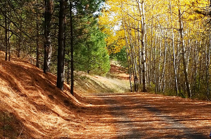 Turkey Hill Trail Michigan Bluff CA