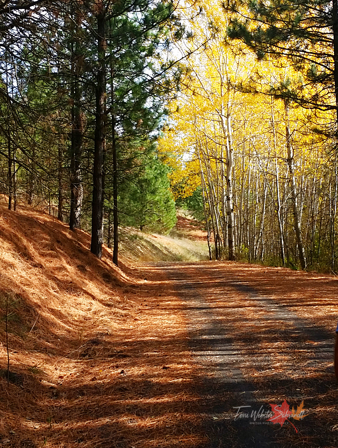 Wordless Wednesday: Remembering a Favorite&nbsp;#Trail