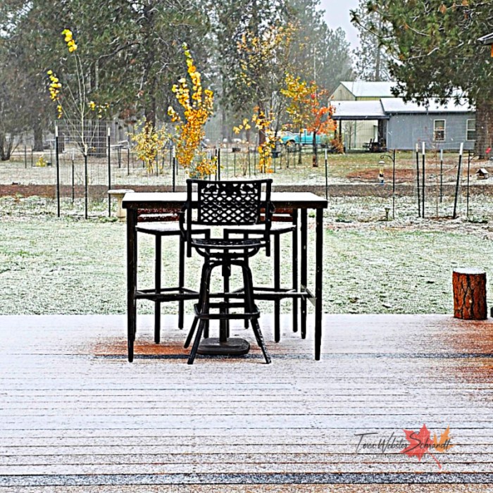 Autumn snow on backyard deck