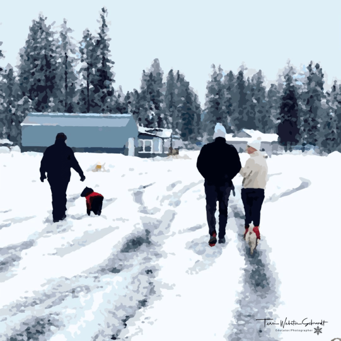 people walking dogs in the snow