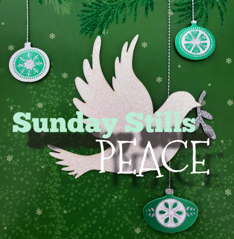 Sunday Stills: Waiting for&nbsp;#Peace