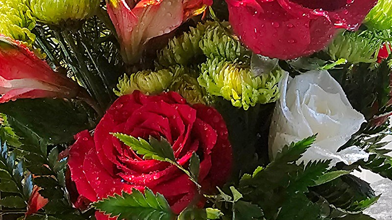 Red roses and green leaf bouquet
