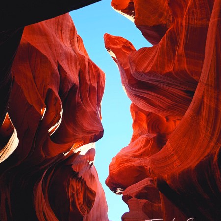 orange twisted antelope cyn