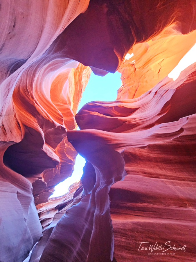 #WordlessWednesday: In or Out; Up or&nbsp;Down?