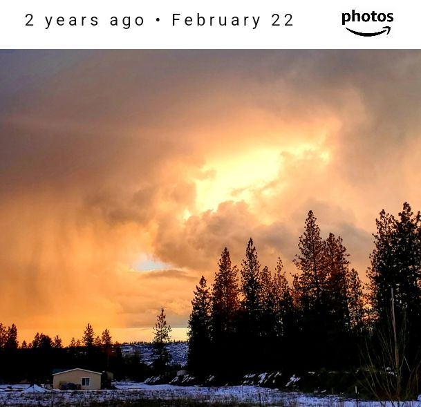 storm clouds over pine trees