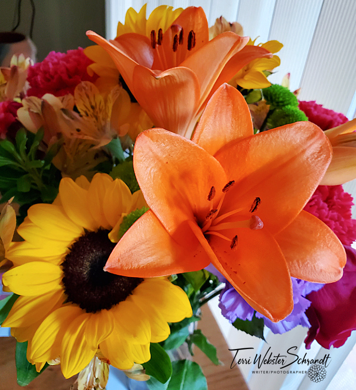 Sunday Stills: April #Flowers&nbsp;Bring…?