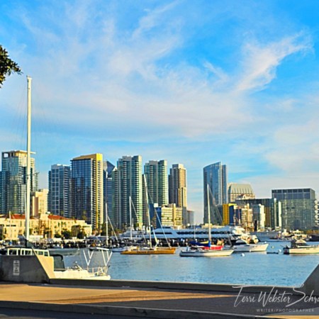 San Diego's Harbor View