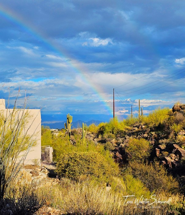 Rainbow over fountain Hills Arizona