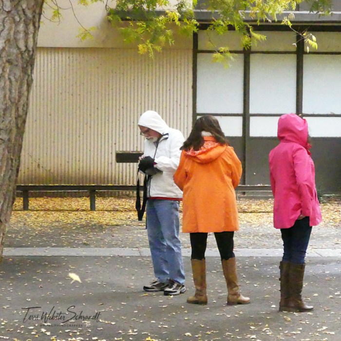 group pf people