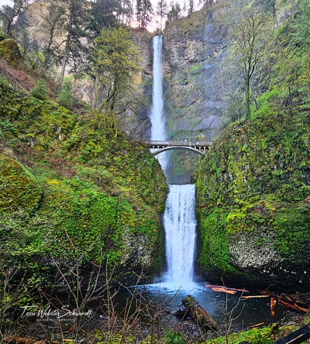 Multnomah Falls