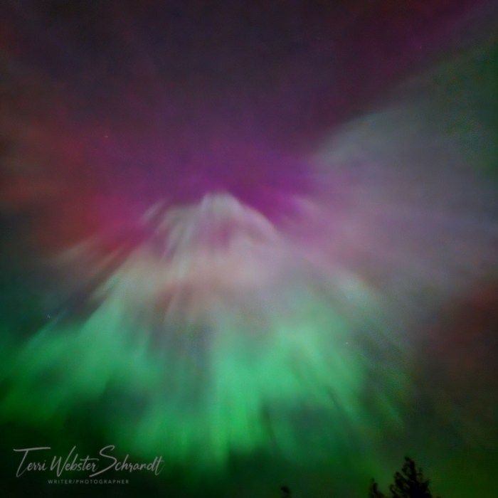 Northern Lights Corona