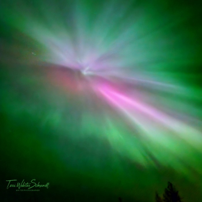 Green and pink corona northern lights