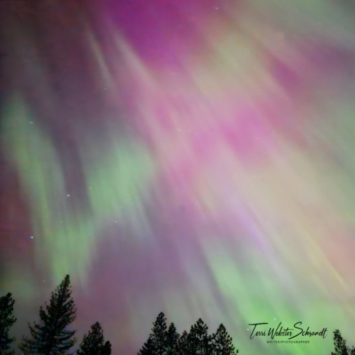 Aurora Rays of pink and green