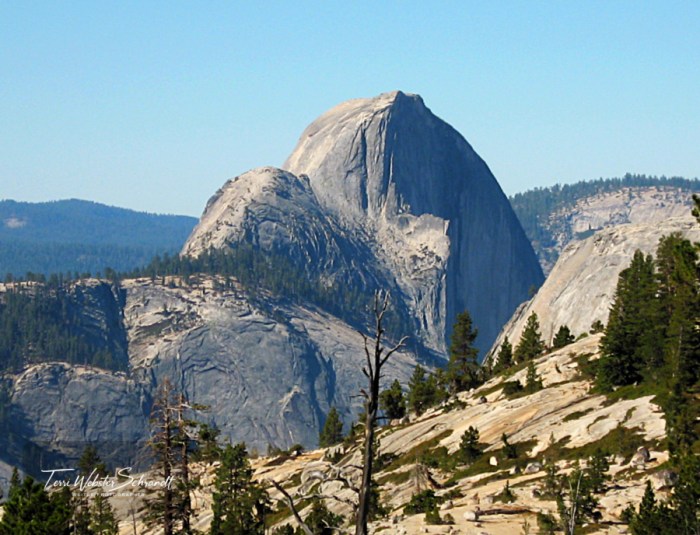 Half Dome from Olmsted Point