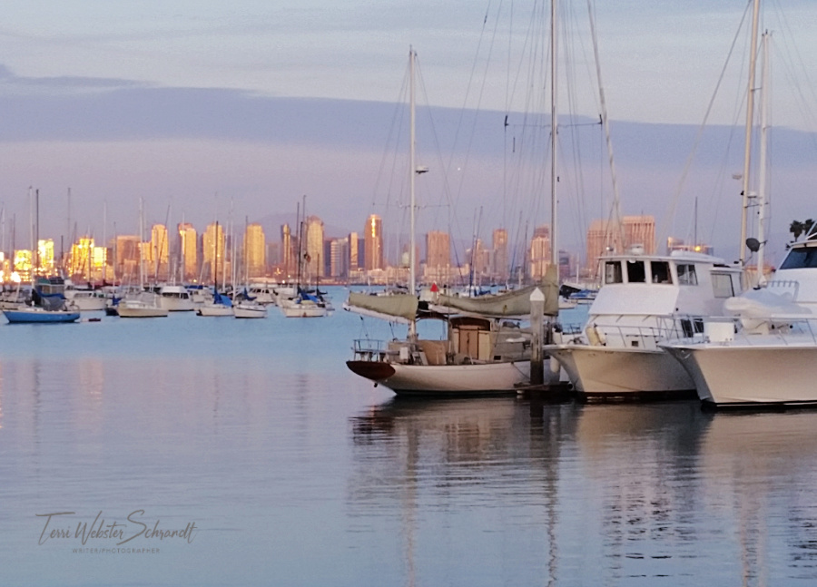 San Diego's Skyline