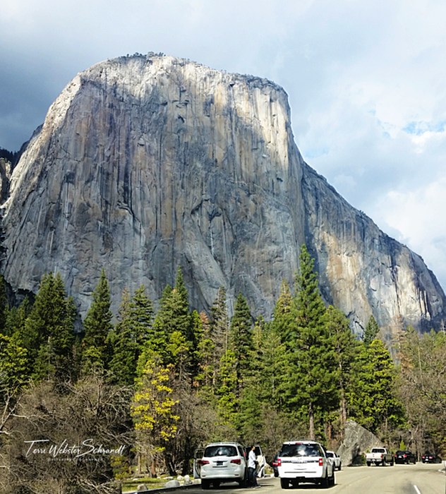 El Capitan stands as the gateway into Yosemite Valley