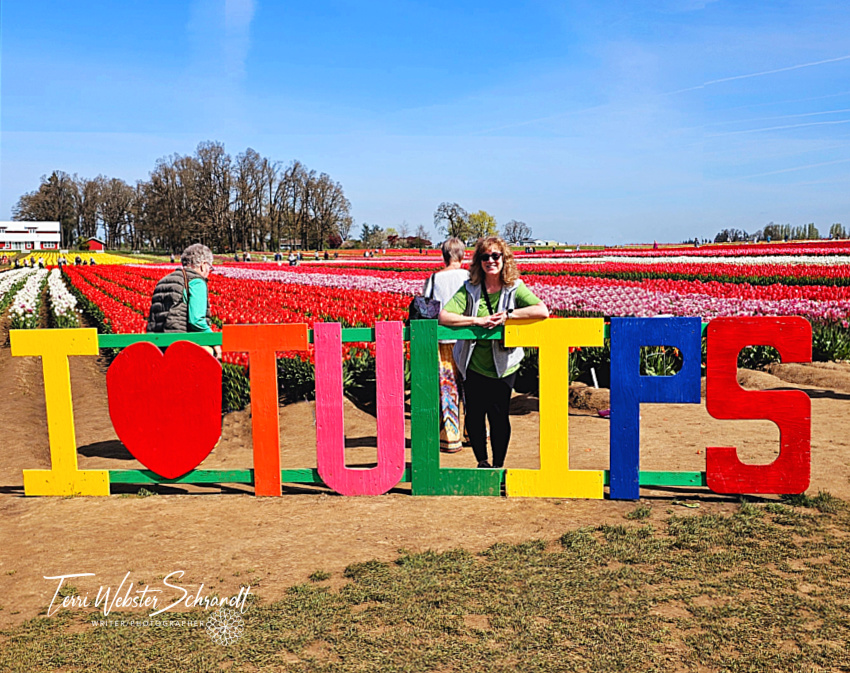 Wordless Wednesday: One Year Ago at the Tulip&nbsp;Farm