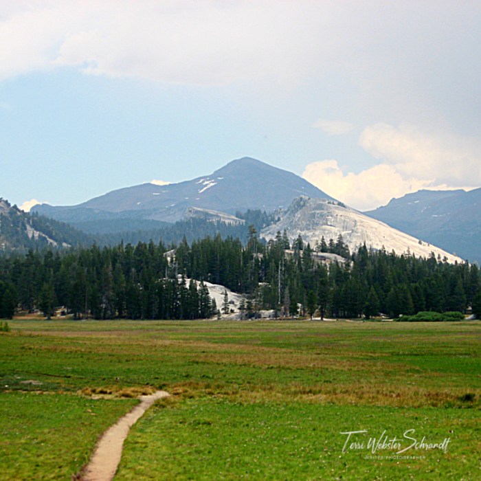 Lembert Dome under Mt Dana Tuolumne Meadows