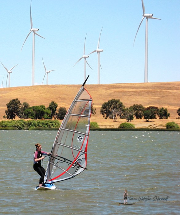 Young woman on windsurf board