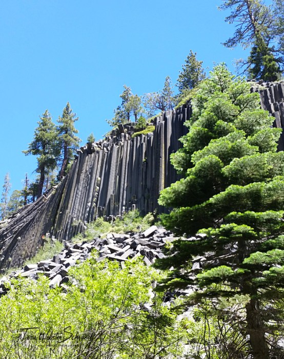 Devil's Postpile Mammoth Lakes